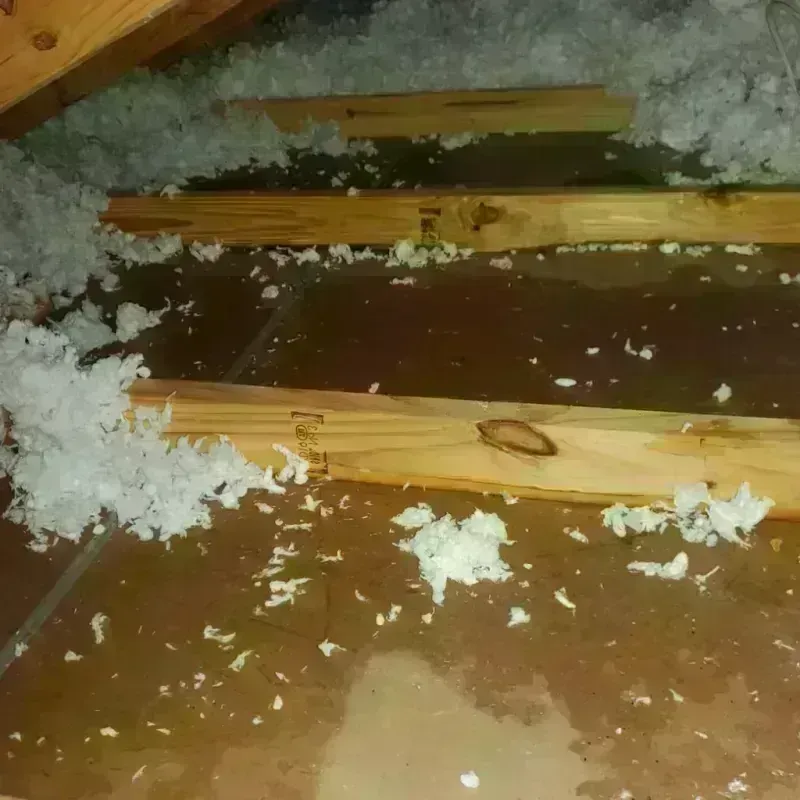 Attic Water Damage in Thedford, NE